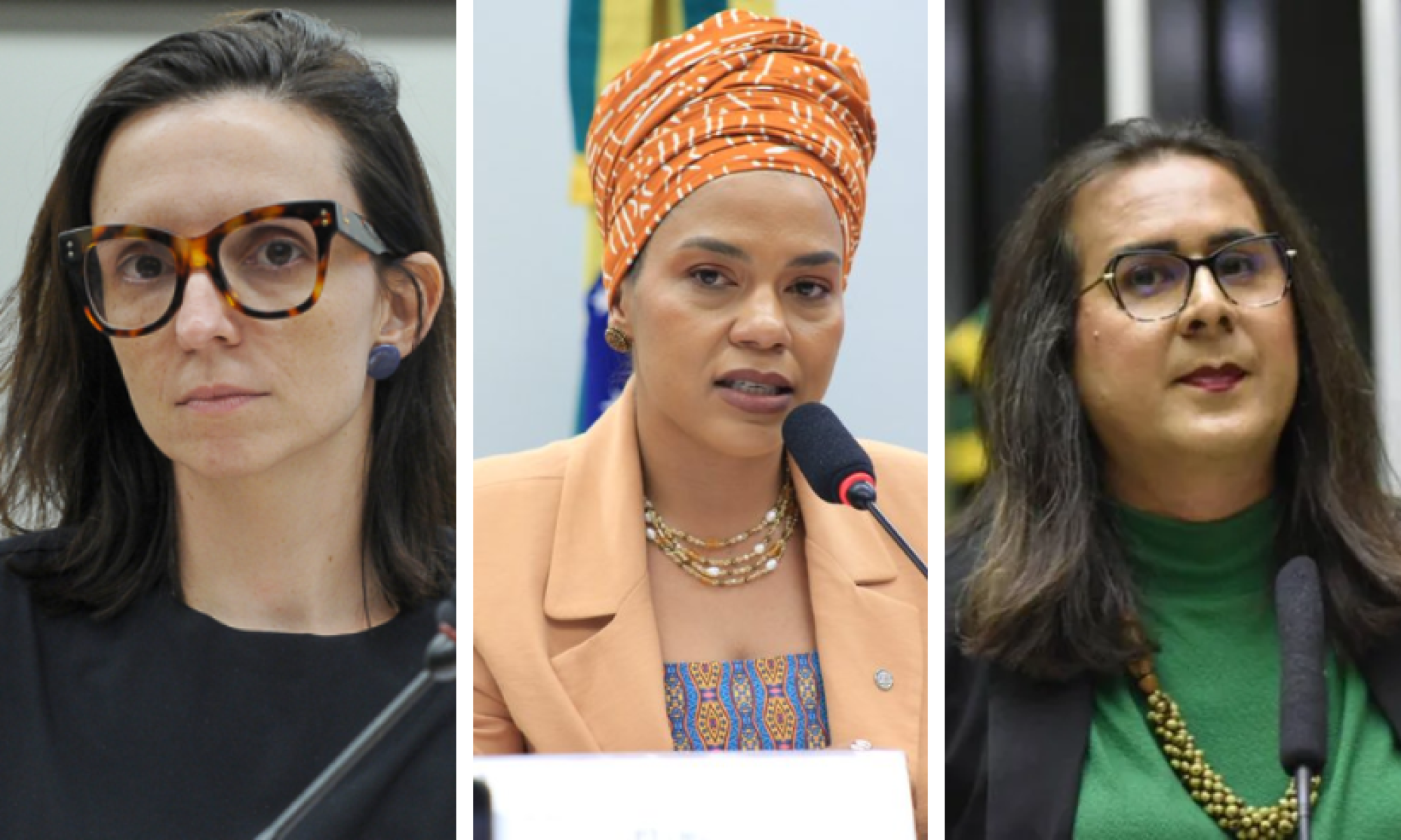 Deputadas comemoram aprova&ccedil;&atilde;o do PL 