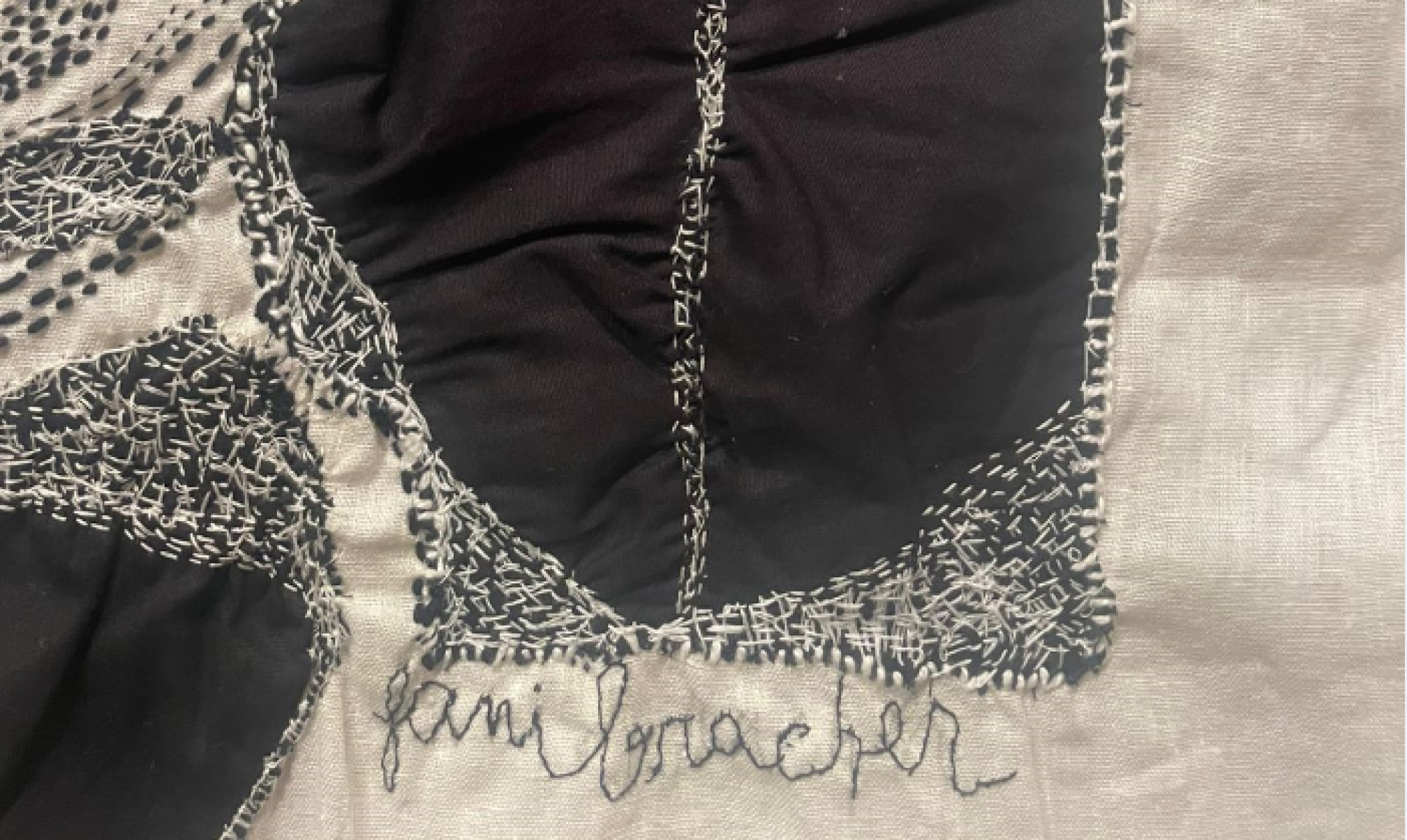 O conjunto apresentado &eacute; composto por dois ossos, nos quais Fani desenhou e escreveu, al&eacute;m de 25 pe&ccedil;as de tecidos, com bordados ou pacthwork. -Reprodu&ccedil;&atilde;o