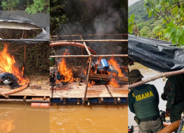 No momento da chegada das equipes, os trabalhadores fugiram para uma área de mata e não foram localizados -  (crédito: PMMG/Reprodução)