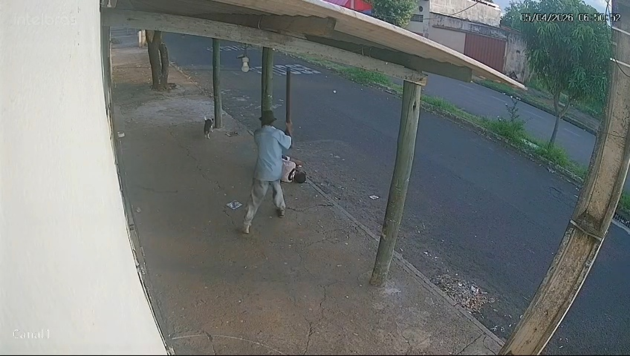 Vídeo: Morador de rua é agredido a pauladas dormindo em Uberlândia -  (crédito: ReproduÃ§Ã£o/Redes sociais)