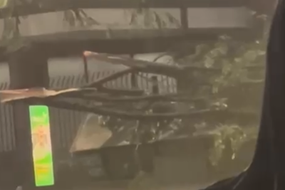 Galho de árvore cai e destrói ponto de ônibus em frente ao prédio da UFMG -  (crédito: Redes sociais / Reprodução)