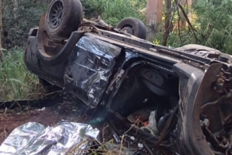 A caminhonete colidiu contra a mureta de proteção da ponte e, em seguida, saiu da pista, atingindo uma árvore -  (crédito: PRF/Reprodução)