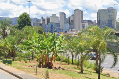 O corpo estava enrolado em um pano, em uma área de mata na Rua Francisco Soucasseaux -  (crédito: Google Street View/Reprodução)