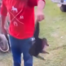 MG: adolescente segura gato pela cauda e homem o chuta; veja o vídeo - Redes Sociais/Reprodução