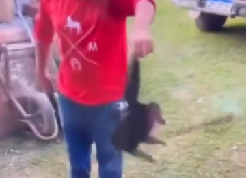Segundo relato, a ação ocorreu em um sítio na zona rural e teria sido praticada de forma recreativa -  (crédito: Redes Sociais/Reprodução)