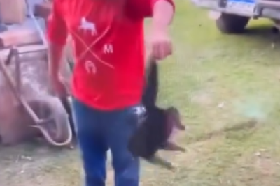 Segundo relato, a ação ocorreu em um sítio na zona rural e teria sido praticada de forma recreativa -  (crédito: Redes Sociais/Reprodução)
