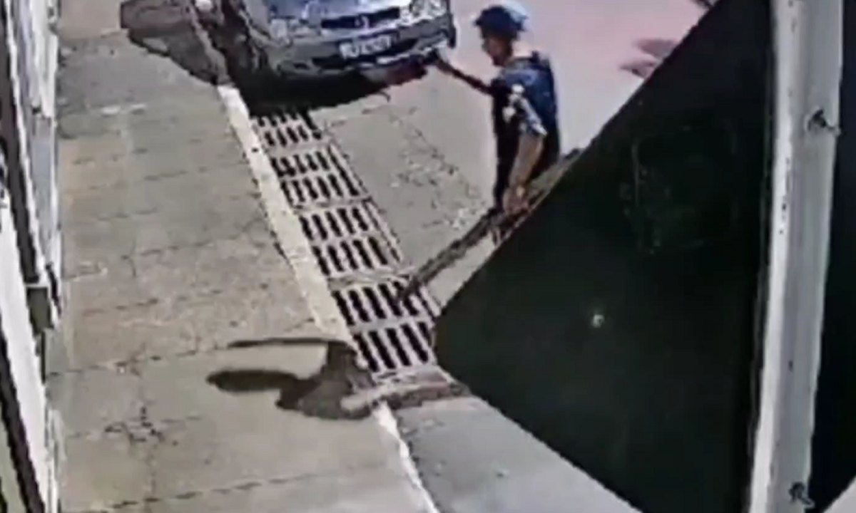 Vídeo: Homem é indiciado por bater cachorro com porrete - (crédito: Reprodução/Redes sociais)