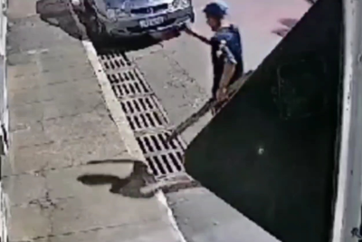 Vídeo: Homem é indiciado por bater cachorro com porrete -  (crédito: ReproduÃ§Ã£o/Redes sociais)
