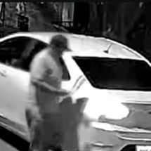 Homem flagrado arremessando cão é indiciado; animal correu atrás do carro - Câmera de segurança/Reprodução