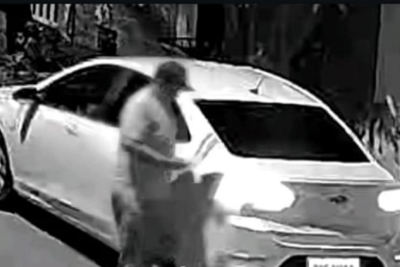 Crime de maus-tratos foi registrado por câmera de segurança -  (crédito: Câmera de segurança/Reprodução)