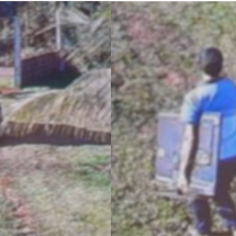 "Cala a boca se não leva um tiro na cara", ameaça assaltante em MG - PMMG/Reprodução