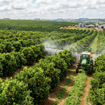Gulf Oil Brasil segue agenda de eventos no agro - DINO