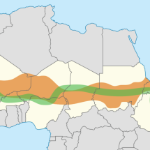 Como 11 países africanos se uniram para criar uma muralha verde de 8 mil quilômetros contra o avanço do Deserto do Saara - Portal Giro 10