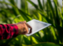 Agro 5.0 impulsiona tecnologia e estratégia no setor - DINO