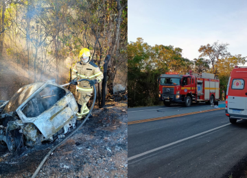 As chamas consumiram toda a estrutura do carro e ainda se espalharam para a vegetação às margens da rodovia -  (crédito: Corpo de Bombeiros/Reprodução)