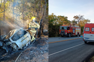 As chamas consumiram toda a estrutura do carro e ainda se espalharam para a vegetação às margens da rodovia -  (crédito: Corpo de Bombeiros/Reprodução)