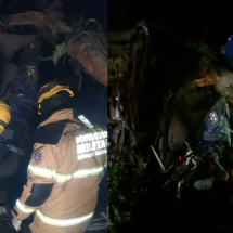 MG: carreta cai em ribanceira de 6 metros e motorista morre na BR-251 - Corpo de Bombeiros/Reprodução