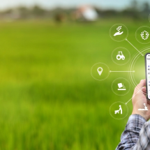Gestão na nuvem conecta o agro ao bem-estar - PulseBrand