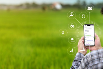 Gestão na nuvem conecta o agro ao bem-estar