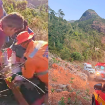 Piloto de parapente bate em eucalipto, cai em pedra e é resgatado em Minas - Corpo de Bombeiros/Reprodução