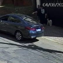 Vídeo: violência contra idoso após cão encostar no carro em BH é flagrada  - Reprodução/Redes Sociais