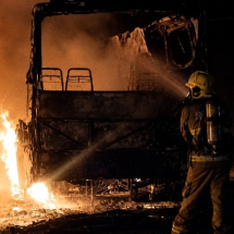 MG: Bombeiros salvam filhotes de incêndio que destruiu veículos em garagem - CBMMG