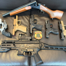 PF apreende sete armas em operação que tem Mario Frias entre alvos - Reprodução/Polícia Federal