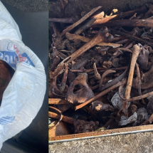 Mulher é flagrada com crânio humano dentro de supermercado em Contagem - Guarda Civil de Contagem/Reprodução