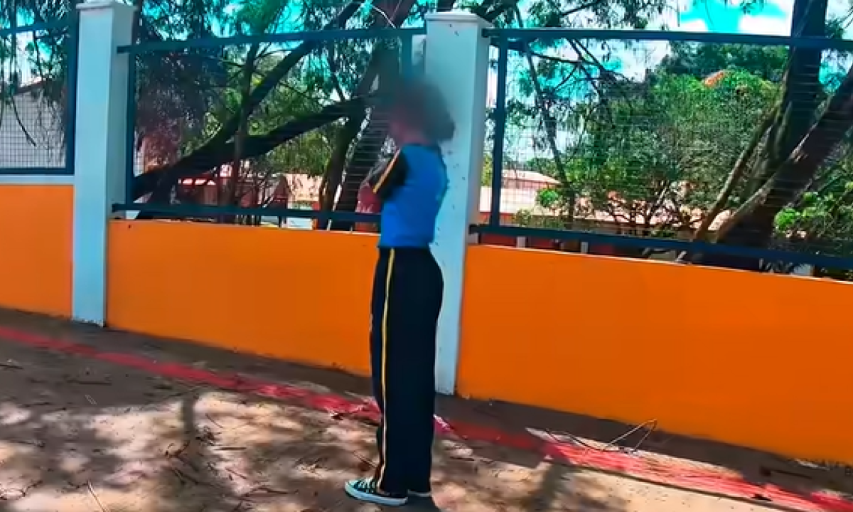 Motoboy enfrenta enxame para salvar criança em Ibirité - (crédito: Redes Sociais/Reprodução)