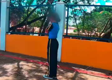Motoboy enfrenta enxame para salvar criança em Ibirité -  (crédito: Redes Sociais/Reprodução)