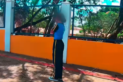 Motoboy enfrenta enxame para salvar criança em Ibirité -  (crédito: Redes Sociais/Reprodução)