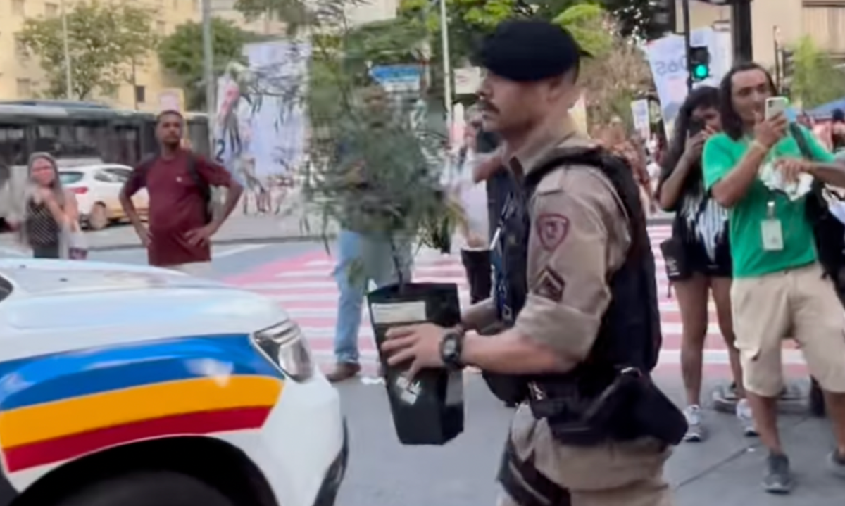 O pé de maconha foi levado pelos militares para que o caso fosse formalizado e analisado - (crédito: Reprodução/Redes Sociais)