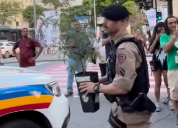 O pé de maconha foi levado pelos militares para que o caso fosse formalizado e analisado -  (crédito: Reprodução/Redes Sociais)