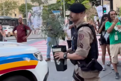 O pé de maconha foi levado pelos militares para que o caso fosse formalizado e analisado -  (crédito: Reprodução/Redes Sociais)