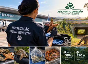 Ao integrar a rede de Aeroportos Guardiões da Fauna Silvestre, o BH Airport contribui para coibir crime de tráfico de animais e reafirma a proteção da biodiversidade -  (crédito: Arte/IA)