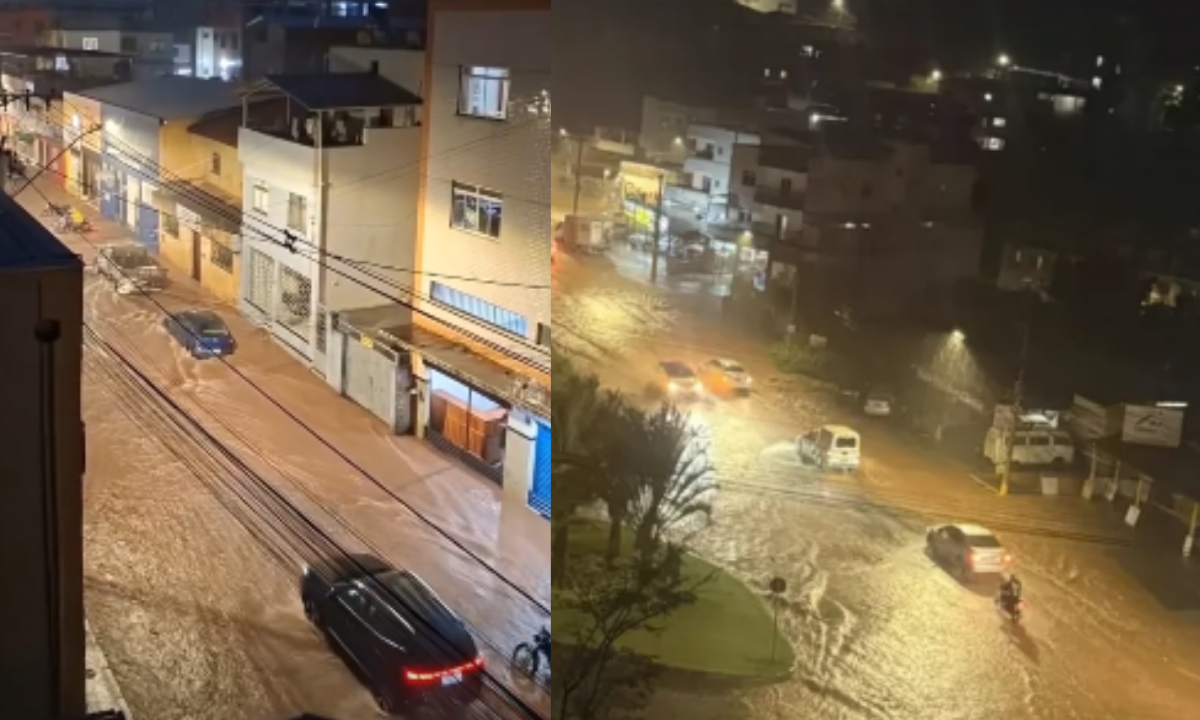 Enxurrada toma ruas e derruba árvores em Viçosa; chuva continua nesta quarta (23) - (crédito: Redes Sociais/Reprodução)