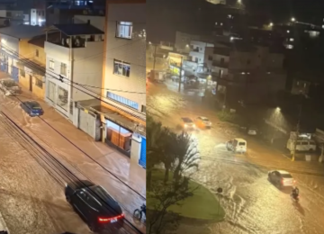 Enxurrada toma ruas e derruba árvores em Viçosa; chuva continua nesta quarta (23) -  (crédito: Redes Sociais/Reprodução)