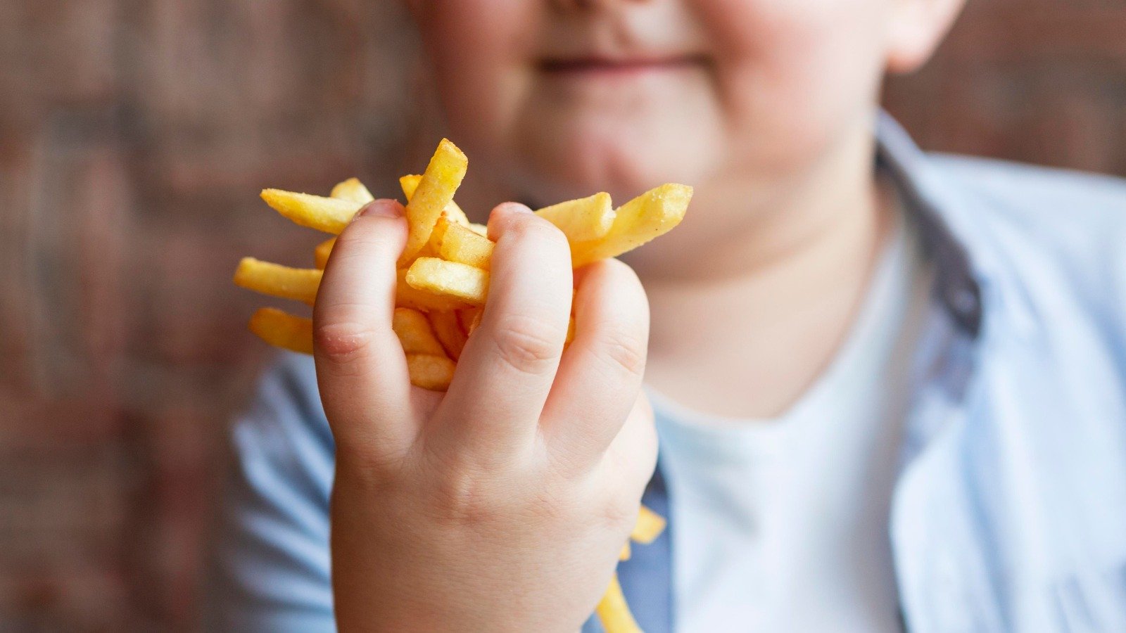 Alimentos ultraprocessados, como batatas fritas, est&atilde;o entre os fatores que contribuem para o avan&ccedil;o da obesidade infantil no Brasil -  (crédito: Magnific)