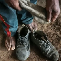 Minas segue no topo da lista suja do trabalho escravo no país  - Divulgação Agência Brasil / Wellyngton Souza/Sesp-MT