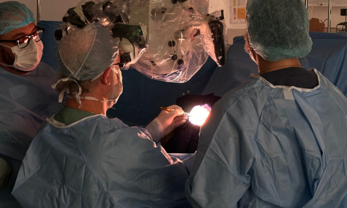 Cirurgia ao vivo é destaque do Neuro University Summit 2026 - (crédito: DINO)