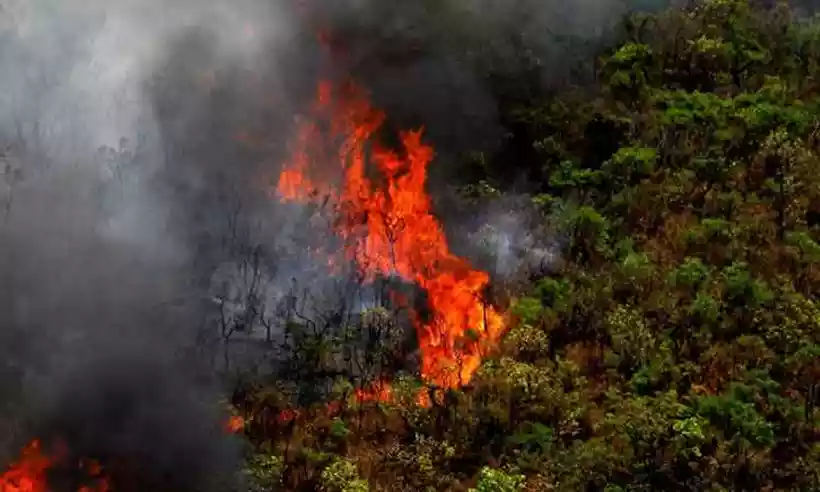 STF determina plano do governo Lula contra incêndios no Pantanal e Amazônia - Agência Minas