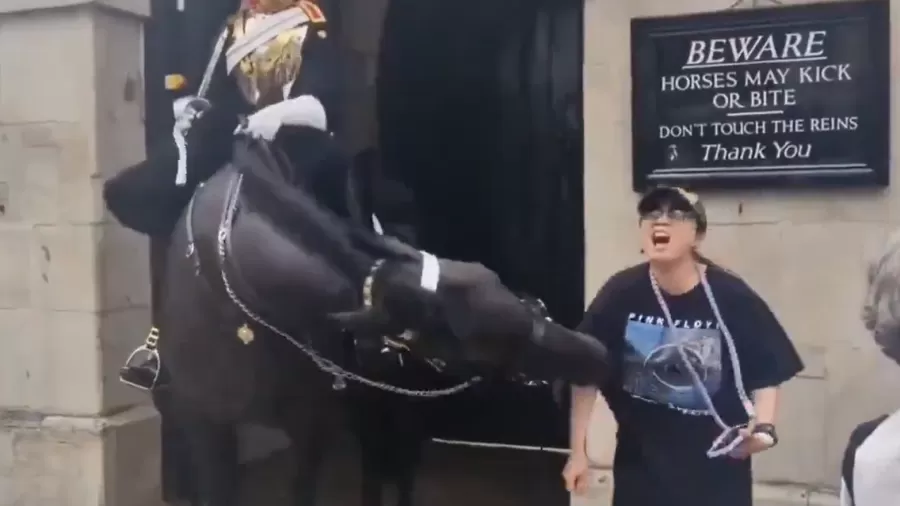 Vídeo: Cavalo da Guarda Real morde turista e ela desmaia