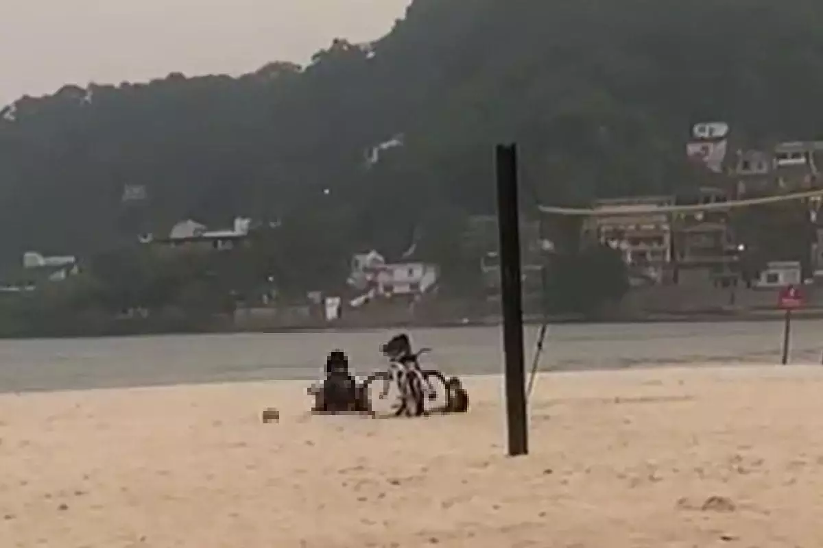 Casal é flagrado fazendo sexo ao lado de criança em praia; veja o vídeo