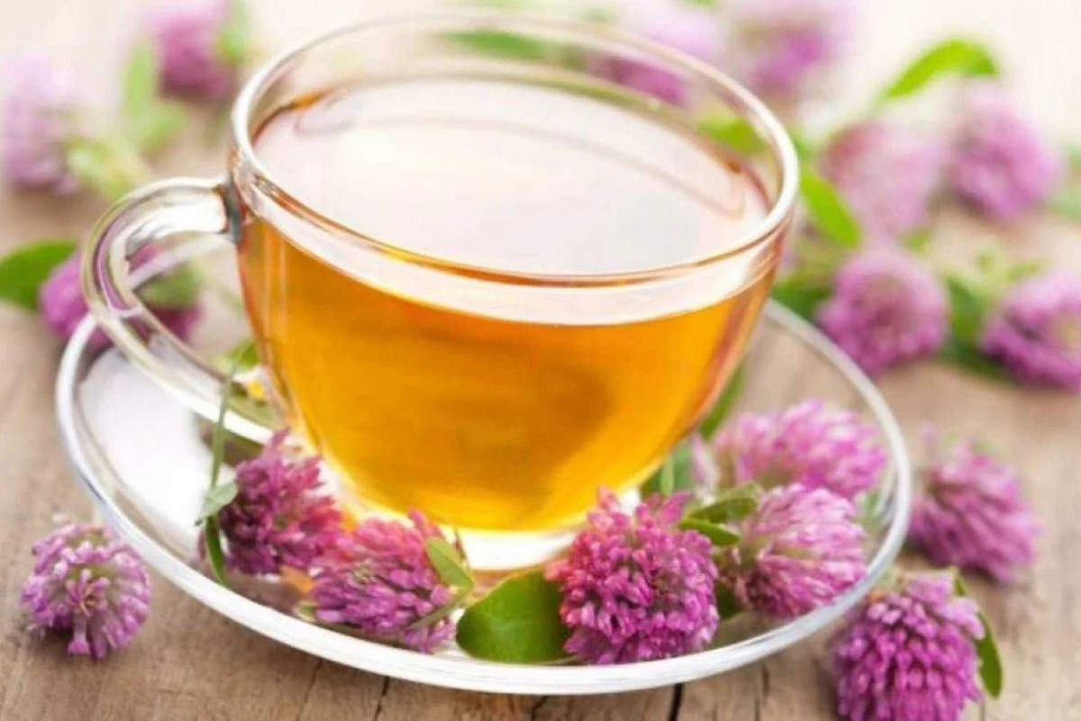 O chá de valeriana também pode ser utilizado para auxiliar na perda de peso

 -  (crédito: FreePik)