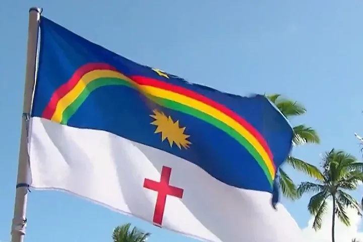 Ficou estabelecido que, dali a um ano, quando a revolução estivesse vitoriosa, eles iriam escrever a Constituição, explicou ao g1 o professor Ricardo Gomes.