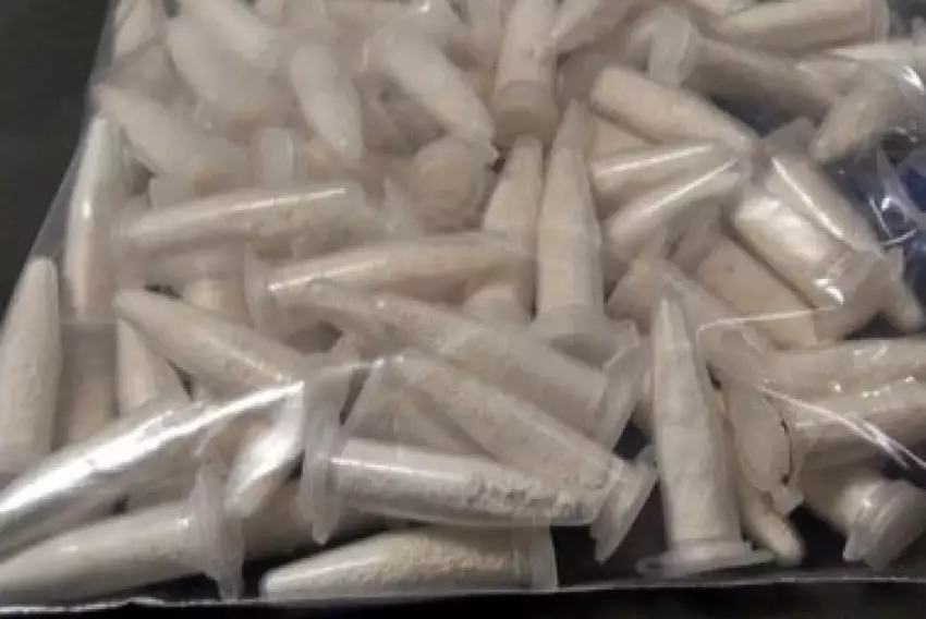 No total foram apreendidos 98 microtubos de cocaína na casa do casal -  (crédito: Redes sociais)
