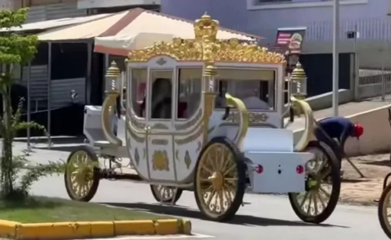  Carruagem tem capacidade para transportar um condutor e até três passageiros confortavelmente -  (crédito: Redes Sociais)