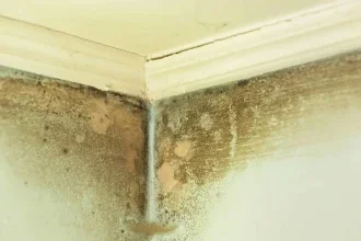 Como evitar que o mofo apareça em seus armários?