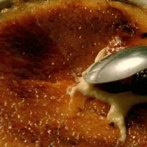 Todos querem tirar uma casquinha - Reprodução