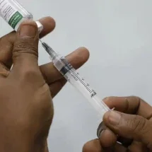 Vacina contra gripe precisa ser tomada todos os anos? - Ag&ecirc;ncia Brasil